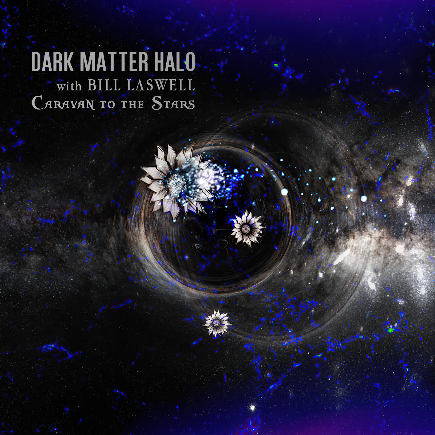 Dark Matter Halo